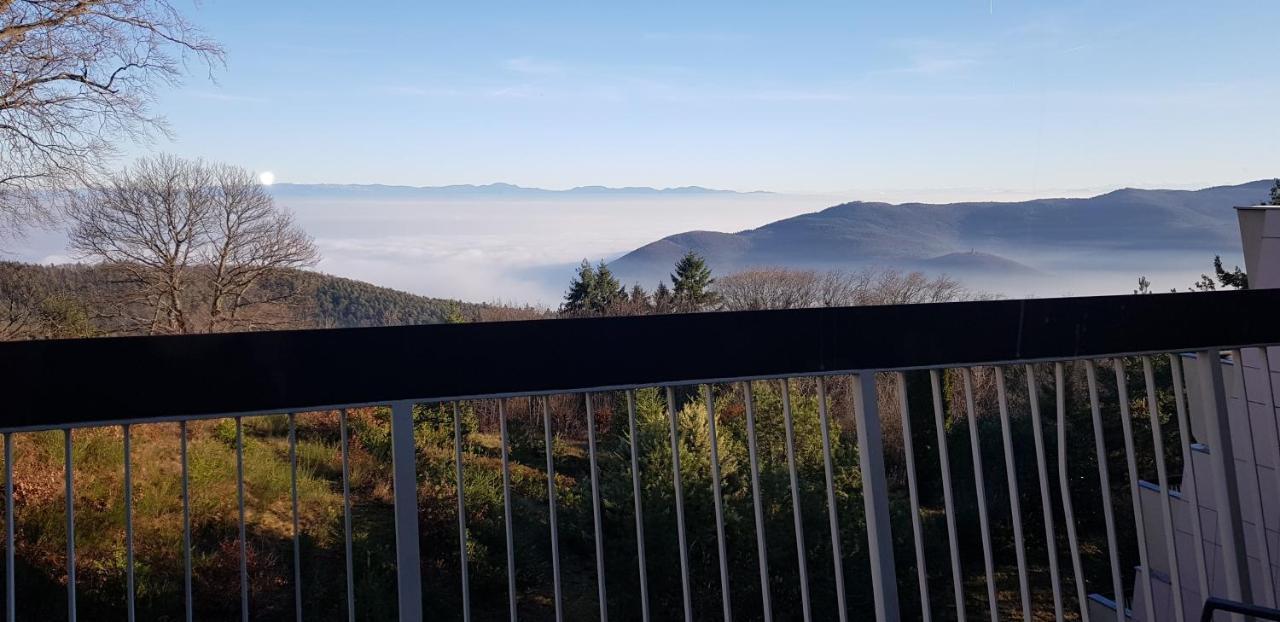 Studio avec sauna au calme à 15 min de Colmar Trois-Épis Exterior foto