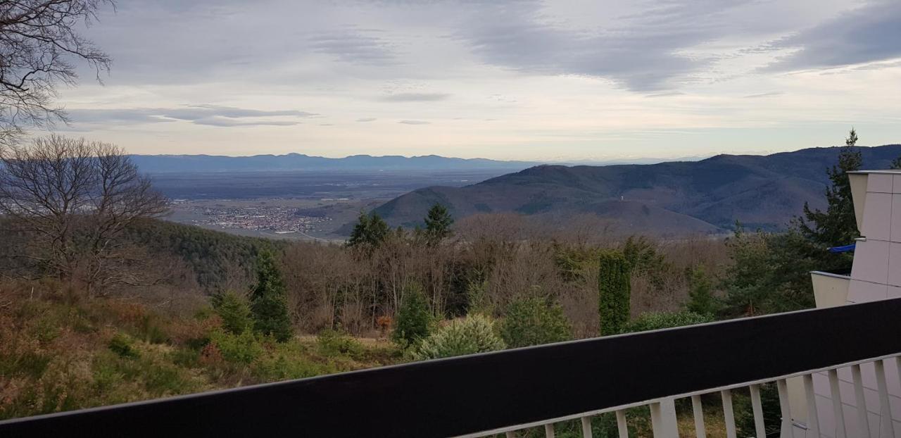 Studio avec sauna au calme à 15 min de Colmar Trois-Épis Exterior foto
